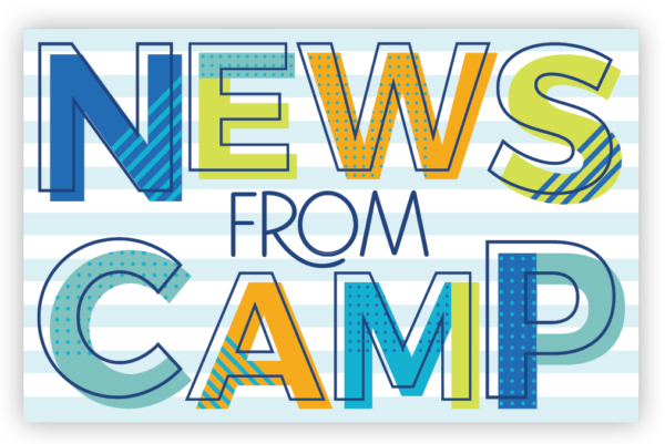 News from Camp Postcards (Blue)