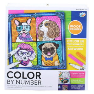 Color-By-Number Kit