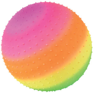Rainbow Knobby Ball / 18 Inch