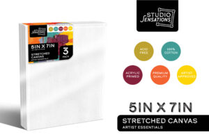 Stretched Canvas- Pack of 3